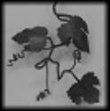Grapevine ~ essentialiron.com